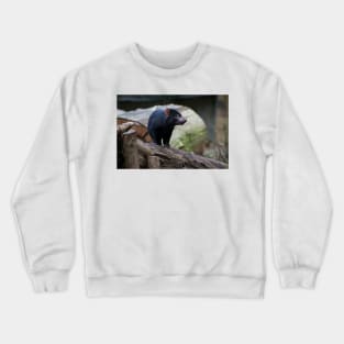 Tasmanian Devil Crewneck Sweatshirt